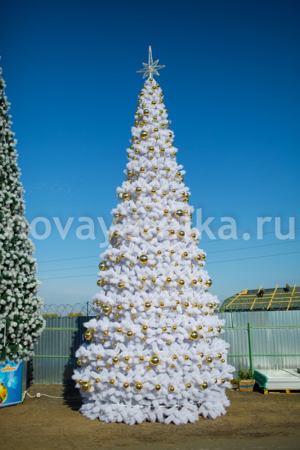 Сосна уличная каркасная Уральская белая от 3 до 30 метров Green Trees