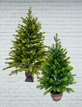 Настольные ели