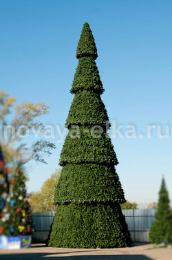 Сегментные уличные ели